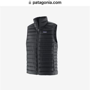 Mens Patagonia vest